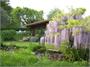 Cottage dei Fiori  2